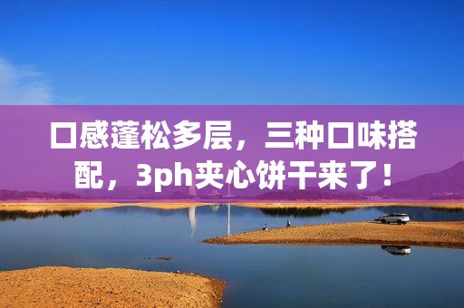 口感蓬松多层，三种口味搭配，3ph夹心饼干来了！