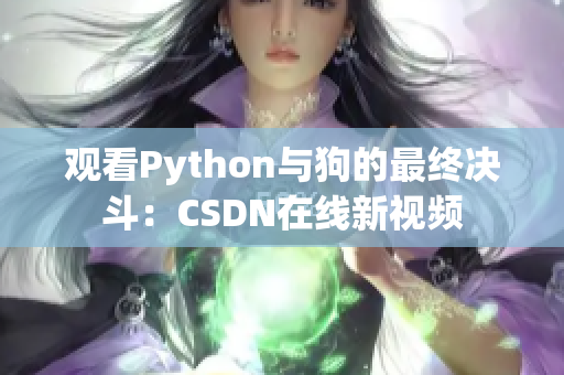 观看Python与狗的最终决斗：CSDN在线新视频