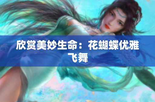 欣赏美妙生命：花蝴蝶优雅飞舞