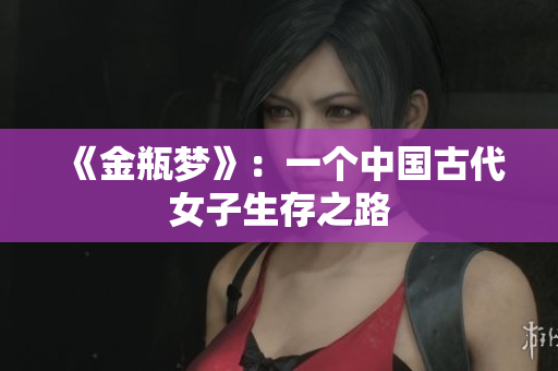 《金瓶梦》：一个中国古代女子生存之路