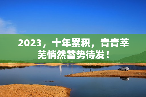 2023，十年累积，青青莘芜悄然蓄势待发！