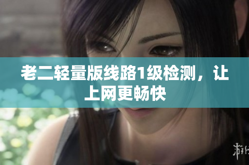 老二轻量版线路1级检测，让上网更畅快
