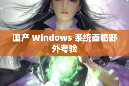 国产 Windows 系统面临野外考验