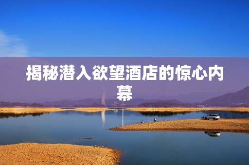 揭秘潜入欲望酒店的惊心内幕
