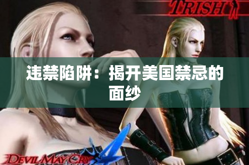违禁陷阱：揭开美国禁忌的面纱