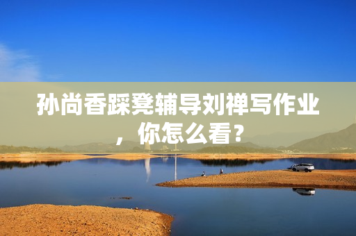 孙尚香踩凳辅导刘禅写作业，你怎么看？