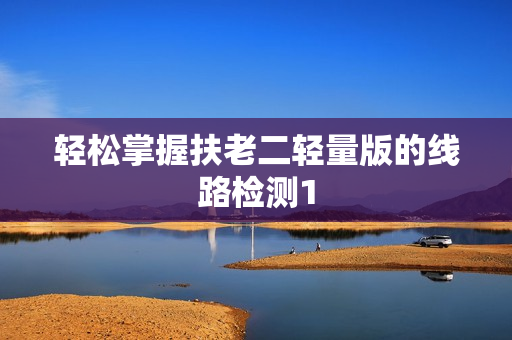 轻松掌握扶老二轻量版的线路检测1