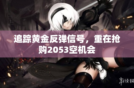 追踪黄金反弹信号，重在抢购2053空机会