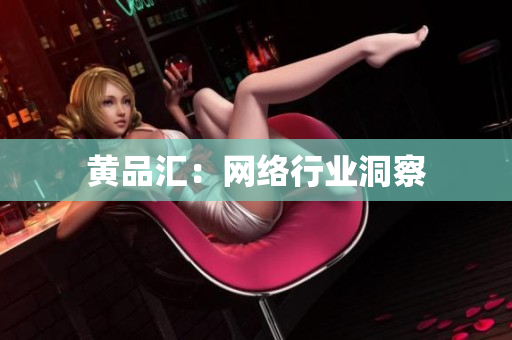 黄品汇：网络行业洞察