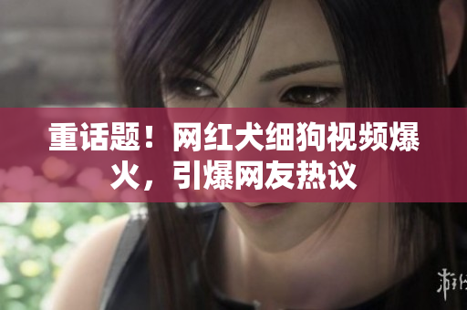重话题！网红犬细狗视频爆火，引爆网友热议