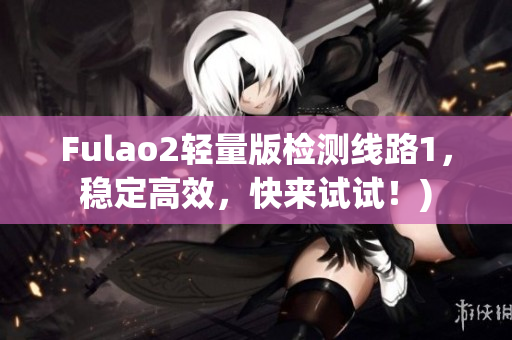 Fulao2轻量版检测线路1，稳定高效，快来试试！)