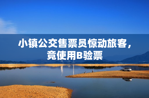 小镇公交售票员惊动旅客，竟使用B验票
