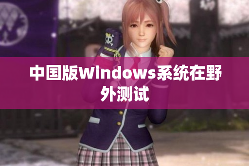 中国版Windows系统在野外测试