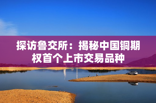 探访鲁交所：揭秘中国铜期权首个上市交易品种