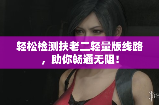 轻松检测扶老二轻量版线路，助你畅通无阻！