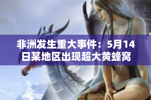 非洲发生重大事件：5月14日某地区出现超大黄蜂窝