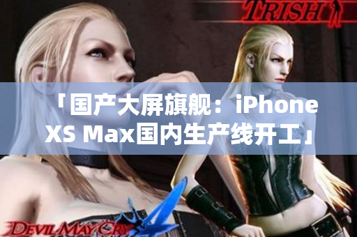 「国产大屏旗舰：iPhone XS Max国内生产线开工」