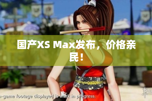 国产XS Max发布，价格亲民！