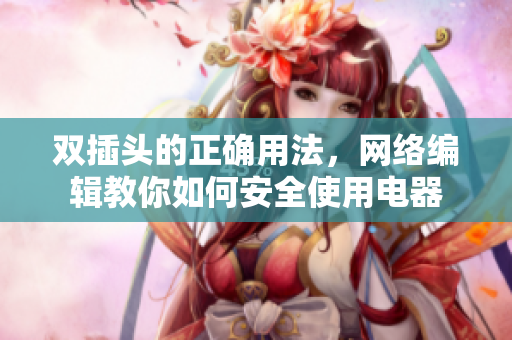 双插头的正确用法，网络编辑教你如何安全使用电器