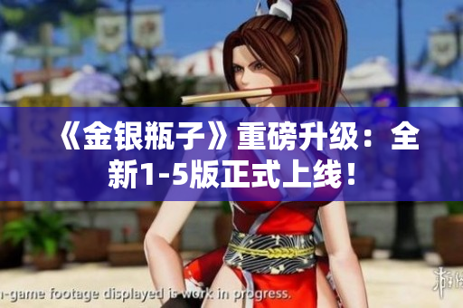 《金银瓶子》重磅升级：全新1-5版正式上线！