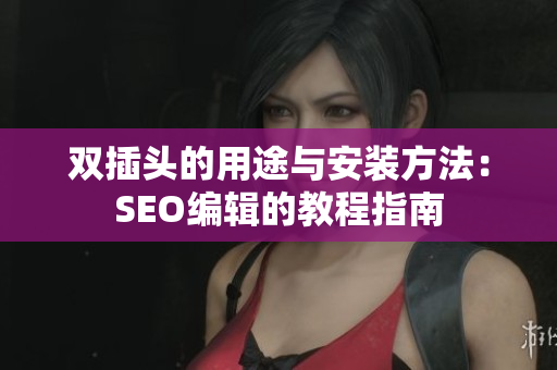 双插头的用途与安装方法：SEO编辑的教程指南