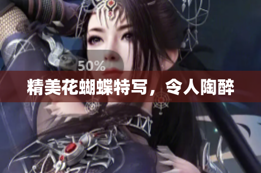 精美花蝴蝶特写，令人陶醉