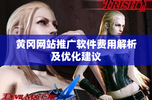 黄冈网站推广软件费用解析及优化建议