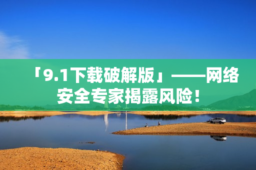 「9.1下载破解版」——网络安全专家揭露风险！