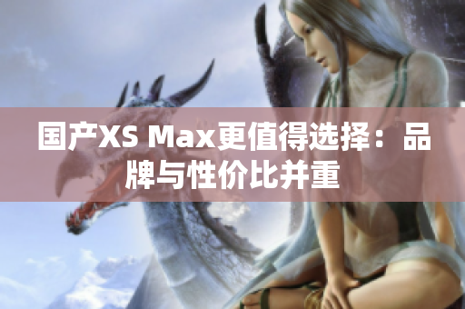 国产XS Max更值得选择：品牌与性价比并重