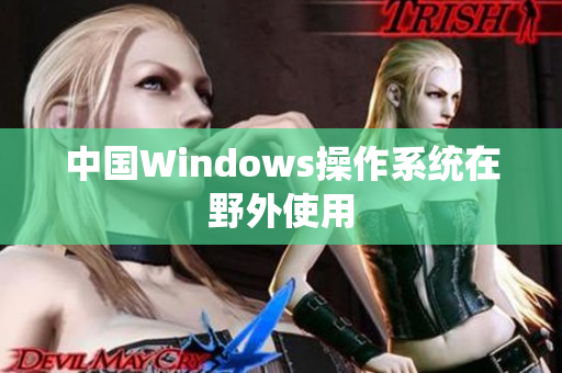 中国Windows操作系统在野外使用