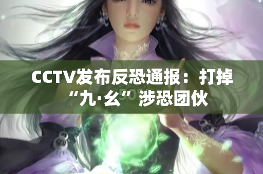 CCTV发布反恐通报：打掉“九·幺”涉恐团伙