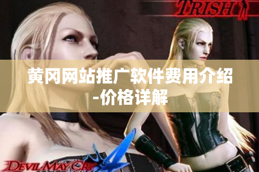 黄冈网站推广软件费用介绍-价格详解