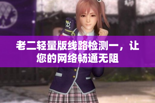 老二轻量版线路检测一，让您的网络畅通无阻