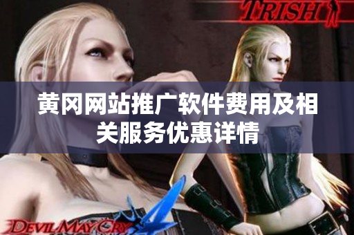 黄冈网站推广软件费用及相关服务优惠详情