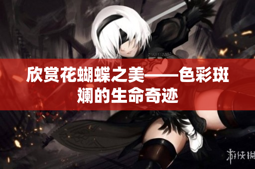 欣赏花蝴蝶之美——色彩斑斓的生命奇迹