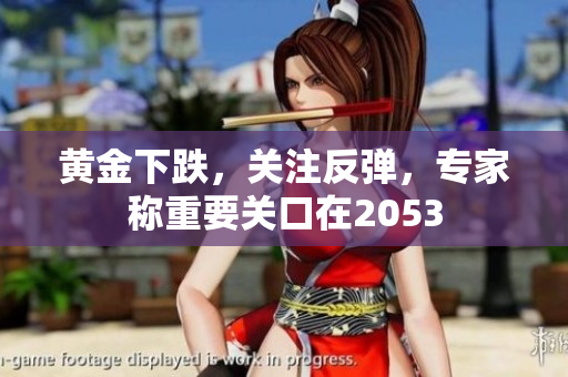 黄金下跌，关注反弹，专家称重要关口在2053