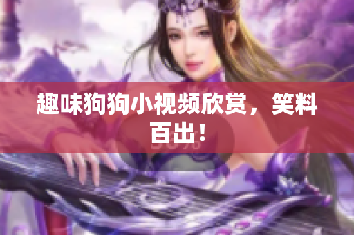 趣味狗狗小视频欣赏，笑料百出！