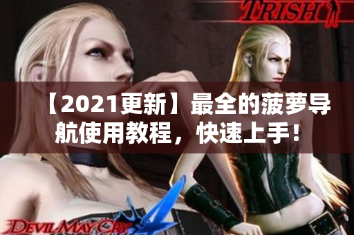 【2021更新】最全的菠萝导航使用教程，快速上手！