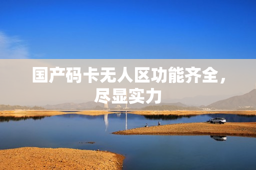 国产码卡无人区功能齐全，尽显实力