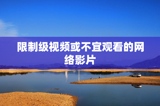 限制级视频或不宜观看的网络影片