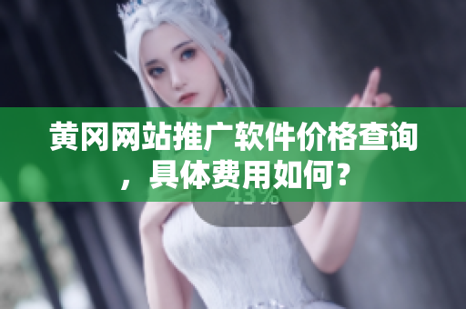 黄冈网站推广软件价格查询，具体费用如何？