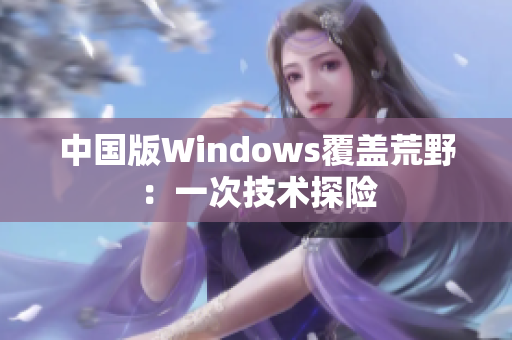 中国版Windows覆盖荒野：一次技术探险