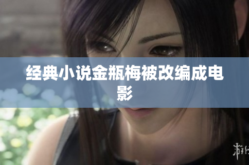 经典小说金瓶梅被改编成电影