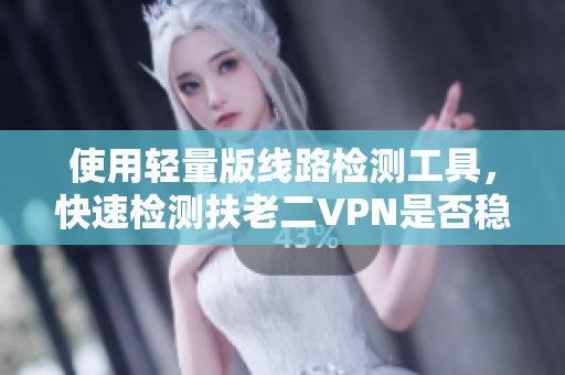 使用轻量版线路检测工具，快速检测扶老二VPN是否稳定