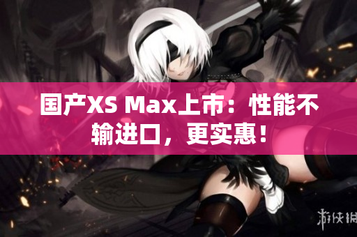 国产XS Max上市：性能不输进口，更实惠！