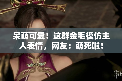 呆萌可爱！这群金毛模仿主人表情，网友：萌死啦！