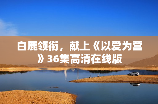 白鹿领衔，献上《以爱为营》36集高清在线版
