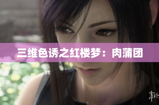 三维色诱之红楼梦：肉蒲团