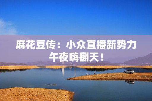 麻花豆传：小众直播新势力午夜嗨翻天！