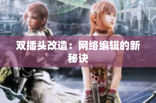双插头改造：网络编辑的新秘诀